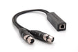 RJD2203-0050 - Amphe-Dante - RJD2203-0050 - Two Channel Input
