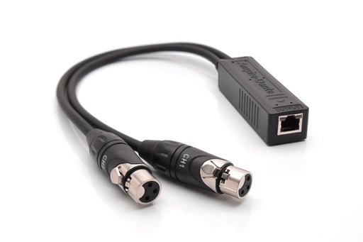 RJD2203-0050 - Amphe-Dante - RJD2203-0050 - Two Channel Input