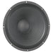 DELTA-15A - Eminence - DELTA-15A
