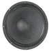 DELTA PRO-15A - Eminence - DELTA PRO-15A